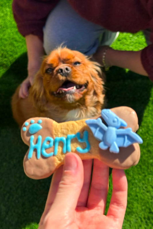 Bone-Shaped Dog Biscuits