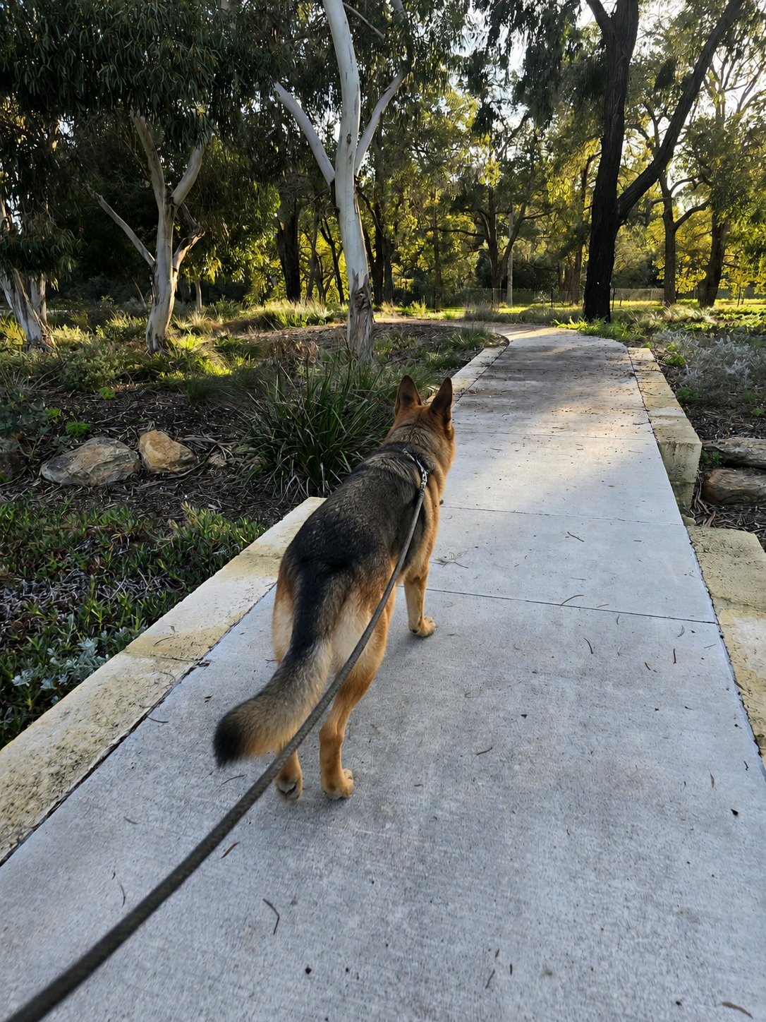 30 Minute Walk