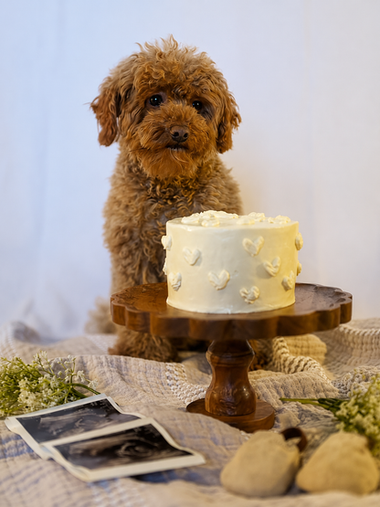 Dog Gender Reveal Cakes
