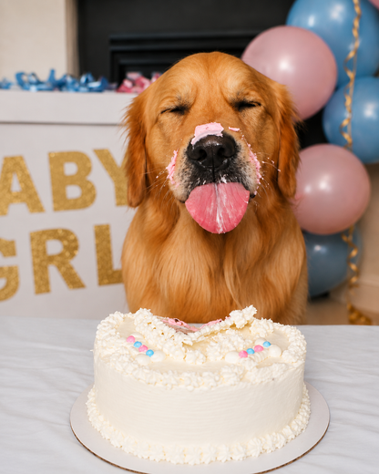 Dog Gender Reveal Cakes